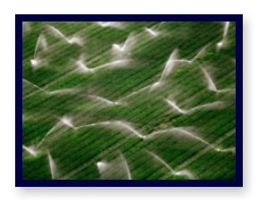 Irrigation and fertigation pump & motor systems - Trees, Crops and vineyards